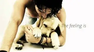 Share love with ALLTRUEISTIC!