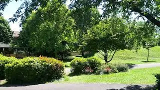 Parco di Passons in primavera