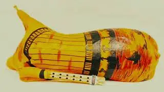 Happy storage reed music