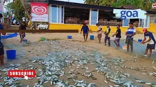 Goa beach pe machhli pakadna / fishing in goa beach #fishing #goa #seafood #fishingworld #crab 