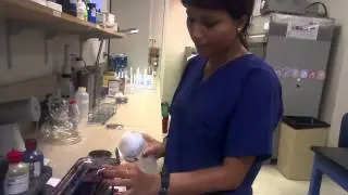 Gram stain demonstration