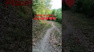 BEST PLACE FOR WALKING EXERCISE -FOREST GREEN #shortsyoutube #nature #enchantingnature