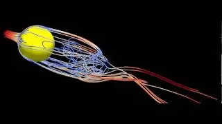 Streamtrace showing the flow around sphere