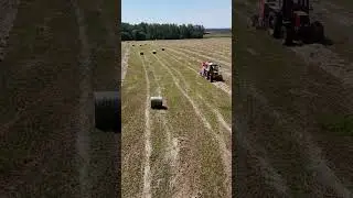 КФХ ВИРОМА сено 2025 #farming #farm #sheepfarming #russianfarm #goat #cow #agriculture