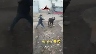 Funny laughing.😂😂 naughty boy #funny #comedyfilms #comedy #beautifulboy #beautyboy #greatboy #funny