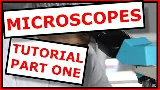 Step-by-Step Guide to use a Microscope like a Pro with Dr. O'Neill