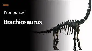How to Pronounce ''Brachiosaurus'' Correctly! (Dinosaur)