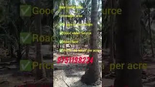 #coconut #farmlandforsale #agriculture #pollachi #udumalpet #gaming #vairalvideo #9751198224