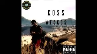 KOSS - WECKOS