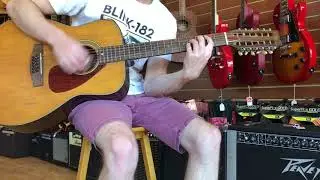 Yamaha FG-260 12 String Demo