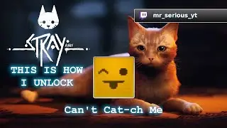 [PS5 Trophy]Stray - SpeedRun - this is how I unlock Mich kriegst du nicht! - Can't Cat-ch Me (GOLD)