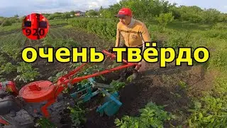 После обильных дождей земля стала как камень