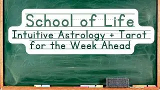 What is Your Soul Here to Learn? ☕️ Your Weekly Refill 023