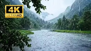Healing Forest Rain 4K ULTRA HD: Reduce Stress, Anxiety & Insomnia in Minutes