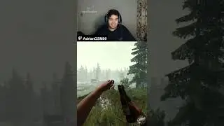 Sustos en the forest