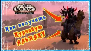 КУРЧАВАЯ АЛЬПАКА КАК ПОЛУЧИТЬ 🔥 Springfur Alpaca