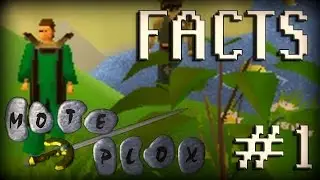 Top 10 RuneScape Facts #1