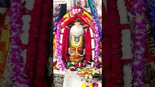 Jain baba khatu sham jaimaar , call her mahade🙏🙏🙏🙏🙏 #live #khatushyambhajansanjaymittal #
