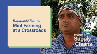 The Way Ahead for Mint Farming