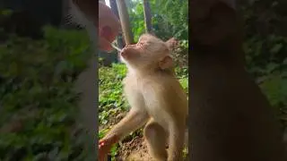 Adorable Jovi Drinking Milk