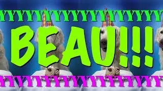 HAPPY BIRTHDAY BEAU! - EPIC Happy Birthday Song