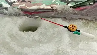 зимняя рыбалка на карася и карпа