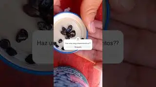 #meteoritos#enminiatura#shortsviral