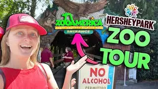 There's a ZOO at Hersheypark: ZooAmerica Full Tour & Guide!