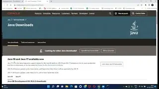 How to install java software