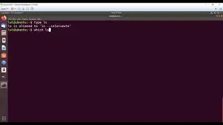 Identify shell builtin and executable file using type