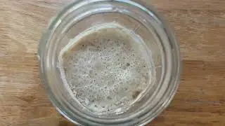 Helpful Video for  My Rustic Roots Sourdough Starter