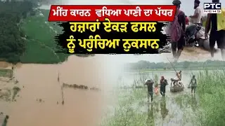 Hoshiarpur Flood News : ਮੀਂਹ ਕਾਰਨ ਵਧਿਆ ਪਾਣੀ ਦਾ ਪੱਧਰ , ਹਜ਼ਾਰਾਂ ਏਕੜ ਫਸਲ ਨੂੰ ਪਹੁੰਚਿਆ ਨੁਕਸਾਨ