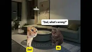 &ldquo;When Your Parents Pretend to Fight Just to Take Your Bed 😹💀&rdquo;#catmemes #catphotos