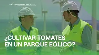 Agricultura sostenible y energía eólica: una combinación real en Canarias