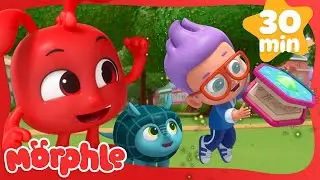 The Magic Pet Book | Magical Cartoons & Stories for Kids | Mila and Morphle