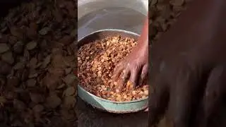 How to make daddawa || how to make iru