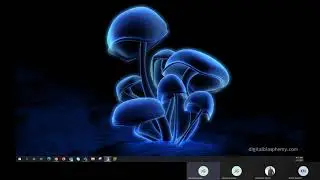 Virtual Server  Sensorview Troubleshooting