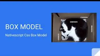Box Model Nativescript Angular in Hindi/urdu  #4