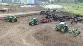 Cole's Least favorite job on the farm