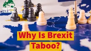 Why Britain 🇬🇧 Can&rsquo;t Face Reality Brexit Has Failed