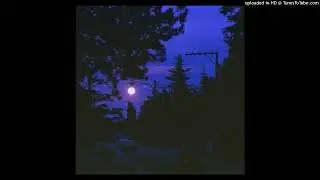 powfu x jomie ukulele type beat 'darker days' (prod. meltonebeats)