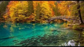 Blausee Lake &ndash; A Blue Gem in the Swiss Alps