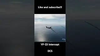 YF-23 Intercept #stealthfighter #stealth #fighterjet #fox3 #fox2 #missile #iran #usnavy #usaf #dcs