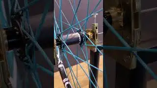 Berd spokes in blue? Or do you prefer another color?