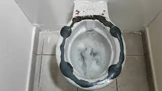 Channel View East Public Toilets Bexhill on Sea 🚹♿️