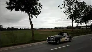 zgp 2019