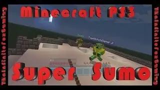 Minecraft PS3 Super Sumo MiniGame!!!