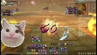 Arigora 3v3 - Elite Perfect World