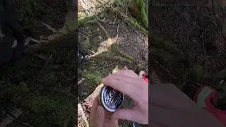 Surveyors Chewing Tobacco