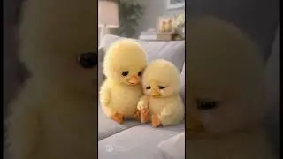 Cute Duckling_Crying again
